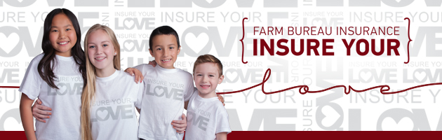 Insure Your Love